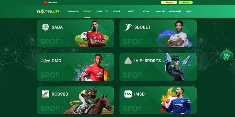 Bongvip Thể Thao - Thiên Đường Cá Cược Đỉnh Cao Cho Người Chơi
